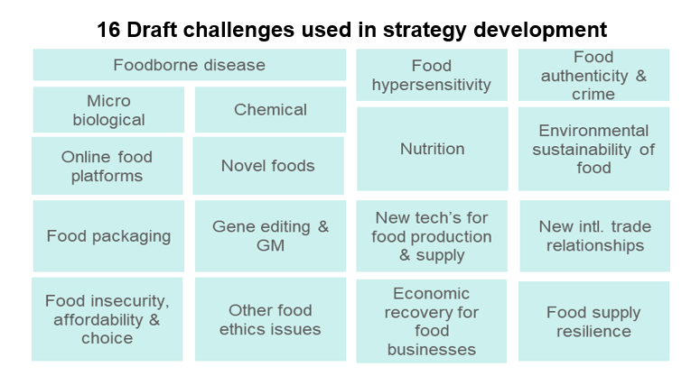 Sixteen draft challenges used in strategy development. 1. Microbiological 2. Chemical 3. Online food platforms 4. Food packaging 5. Novel foods 6. Food insecurity 7. Gene editing 8, Other food ethic issues 9. food hypersensitivity 10. Nutrition 11. Environmental sustainability of food 12. New international trade relationships 13. New tech for food production and supply 14. economic recovery for FBOs 15. food supply resilience 16. food insecurity