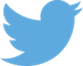 Twitter logo of a blue bird